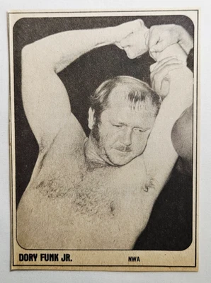 Tarjeta de papel 1981 Wrestling Super Stars Magazine Dory Funk Jr WWF WWE NWA SetBreak Foto 1 de 4
