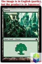 Magic: The Gathering MTG Jpver Foil Forest (306) RAV Basic Land