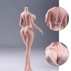YM501 BJD 1/6 Female Large Bust Flexible Slim waist plump hips Body F 12" Figure - Imagen 1 de 24
