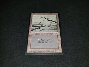 MTG 1x Revised basic land LP Italian FBB Swamp (Two branches) - ships w/ trackin - Picture 1 of 4