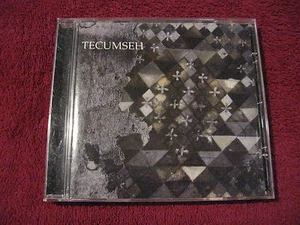 TECUMSEH Avalanche And Inundation CD drone Ocean Nadja Aidan Baker GYBE - Imagen 1 de 1