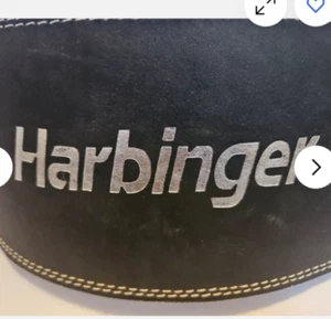 Harbinger Leather Black Padded Gym Weight Lifting Belt 6” Size M Medium preowned - Picture 1 of 11