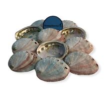 Red Abalone Sea Shell One Side Polished Beach Craft 2" - 3" (6 pcs) #Jc-020