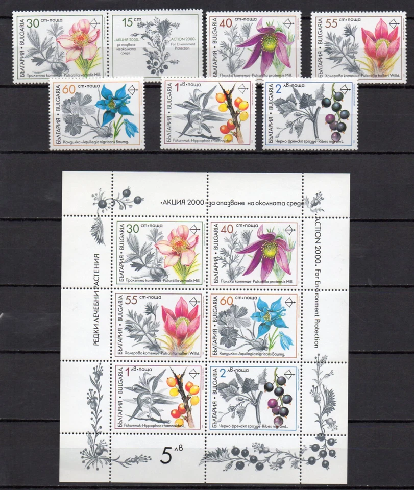 BULGARIA 1991 PLANTAS MEDICINALES FLORES Juego y Mini Sábana MNH Foto 1 de 1