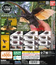 Bandai Dango Mushi Stag Beetle Kuwagata Kabutomushi Gashapon 7 Figure