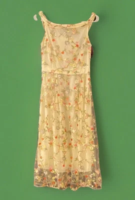 Nuevo con etiquetas Vestido de Cóctel de Primavera Bordado Floral Transparente Amarillo NUEVO S/M Pascua Foto 1 de 4