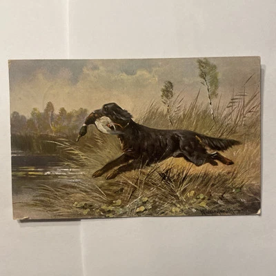 1907 Osceola Mills&Tyrone PA. Ben Franklin 1cent Stamp. Dog Duck Huntng PC - Image 1 of 4