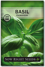 Sow Right Seeds - Genovese Sweet Basil Seed for Planting - Heirloom, Non-Gmo wit