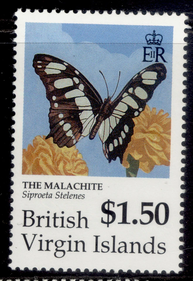 BRITISH VIRGIN ISLANDS QEII SG791, 1991 $1.50 butterflies, NH MINT. — 第 1/1 张图片