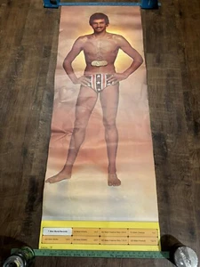 Mark Spitz Vintage 1972 Original Poster (4022) by Studio One 24 x 68 - Picture 1 of 7