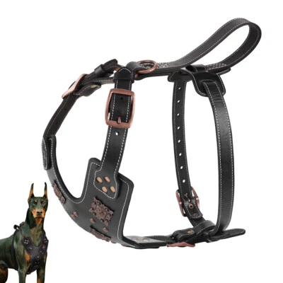 Genuine Leather Dog Harness No Escape Pet Training Walking Vest for Rottweiler - Image 1 of 4