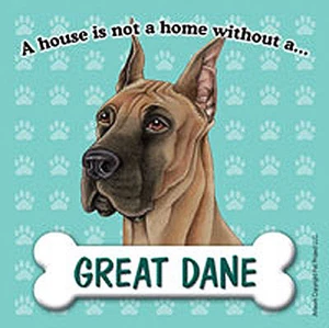 Calamita Great Dane - La casa non è una casa - Foto 1 di 1