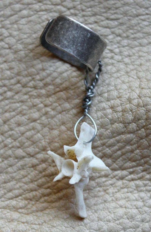 Hueso de vértebra serpiente real en brazalete de oreja de latón plateado Foto 1 de 1