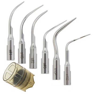 Dental Piezo Scaling Tip Acteon 10Z 10P #1 #2 #3 1S 10X Ultrasonic Tips Satelec - Image 1 of 4