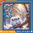 5D DIY Full Round Drill Diamond Painting Two Baby Owls Home Decoration 40x40cm