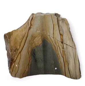 Picture Jasper Faced Rough 1lb 14.7oz. - Picture 1 of 4