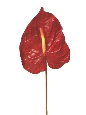 (01567-33993) ARTIFICIAL FLOR INDIVIDUAL ANTHURIUM ANTURIUM ANTURIO ROJO GRANDE - Imagen 1 de 2