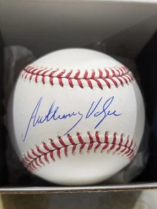 Anthony Volpe New York Yankees Signed Baseball OMLB Fanatics COA - Picture 1 of 3