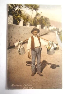 PORTUGAL MADEIRA LEITEIRO MILK BOY - Imagen 1 de 2