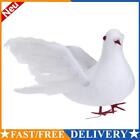 Lover Peace Doves Bird Wedding Bird Simulation Feather Birds For Wedding Decor