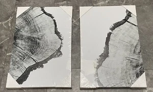 SIGNWIN Canvas Wall Art Black and White Trees Ring 16" x 24" x 2 Panels - Picture 1 of 6