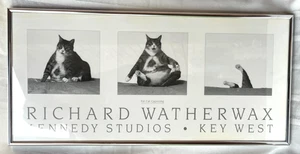 RICHARD WATHERWAX * KENEDY STUDIOS * KEY WEST~ "FAT CAT CAPSIZING" FRAMED POSTER - Picture 1 of 9