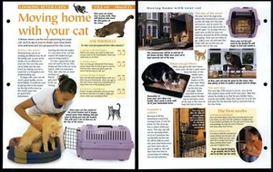Moving Home With Cat #13 Looking After Animals, Animals, Animals Fact File Page - Picture 1 of 1