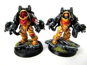 WARHAMMER 40K SPACE MARINE IMPERIAL FISTS - PAINTED  PRIMARIS AGGRESSORS X 2 - Picture 1 of 3