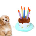  Haustier-Cosplay-Hut Geburtstag Des Hundes Geburtstagshut Mütze