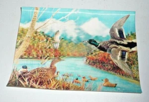 CARTOLINA VINTAGE NON PUBBLICATA 3-D WILD LIFE SCENA 4""X5 3/4"" SPESSA UNICA - Foto 1 di 2