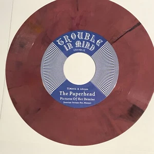 The Paperhead Pictures of her demise 7" 45rpm color vinyl Limited Edition (500) - Picture 1 of 6