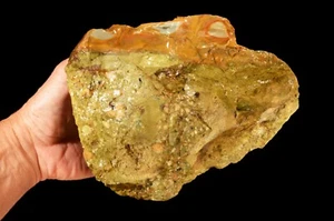 BILD JASPIS 8" x 7" 9 Pfund Wildpferd Owyhee Lapidargestein Mineral Probe - Bild 1 von 2