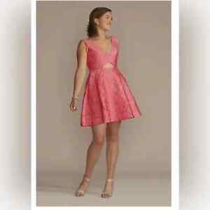 NWOT Jules & Cleo A-Line Dress Size 10 Womans Pink Jacquard Cutout Sleeveless