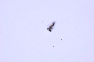 Omega 240 250 part 1219 h.225 Chausse Cannon pinion Rocchetto dei minuti NOS - Picture 1 of 1