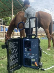 PEMF Machine Physio Magnetic Therapy with Butterfly Loop for Animals Pain Relief - Picture 1 of 6