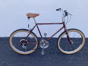 Schwinn Sidewinder 10 Speed Vintage Mountain Bike - Picture 1 of 20