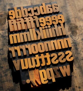 letterpress printing blocks type vintage printer letter typography antique old~* - Picture 1 of 2