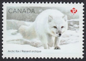 Canada 2021 MNH - SNOW MAMMALS - ARCTIC FOX, Single from Souvenir Sheet - Bild 1 von 1