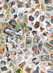 Y1027 - Verzameling/Collection/Sammlung - 100 diff. - Honden/Dogs/Hunde - Bild 1 von 1