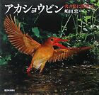 Red Shore Kingfish - Encounter with the Phoenix (Wild Birds of Japan)