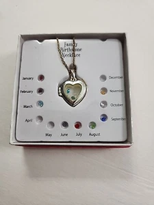 Silberfarbene Familie Geburtsstein Kette Halskette mit Herz Anhänger Neu im Karton verschenkbar - Bild 1 von 2