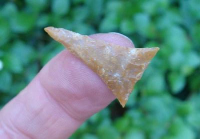 Punta de flecha casi perfecta PINELLAS Florida Georgia de 1" ~121~ Foto 1 de 2