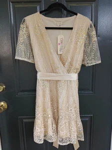 Mini Vestido Southern Fried Chicks Dorado Brillo/Lentejuelas Ajuste N Acampanado Talla XL - Imagen 1 de 11