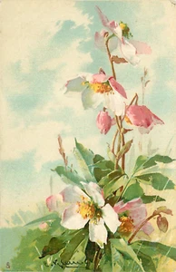 C. Klein, pink wild roses, Flower studies, Tuck 1310 - Imagen 1 de 2