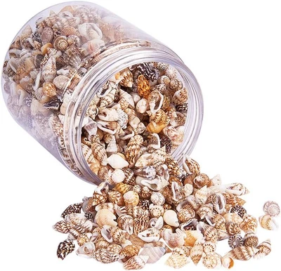 1400-1500Pcs Tiny Sea Shells 7-12Mm Tiny Crushed Shells Miniature Shell NO Hole - Image 1 of 4