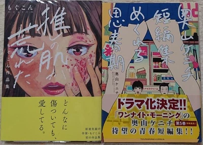 Kenichi Okuyama Short Story Collection Adolescence Rare Used - Image 1 of 2