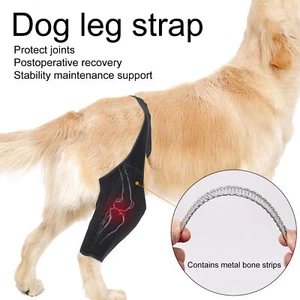 Rodillera para patas traseras ajustable para perros resistente al desgaste ultraligero - Imagen 1 de 12