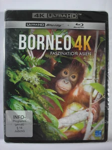 Borneo - Faszination Asien 4K - Malaysia, Indonesien, Orang-Utan, Hirsch- Höhle - Bild 1 von 1