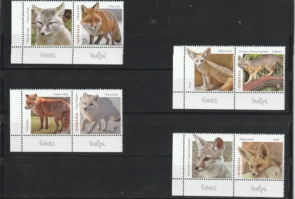Rumania SELLOS 2025 ZORROS VULPI MNH POST SET ETIQUETAS FAUNA ANIMALES Foto 1 de 1