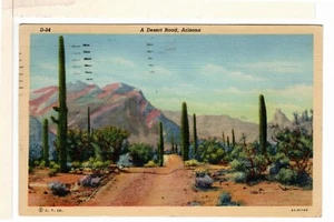 1944 AZ Linen Postcard A Typical Desert Road Saguaro Cacti Mountains -DB2 - Picture 1 of 2